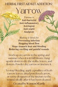 an old paper with some flowers on it and the words, herb first aid addition yarow