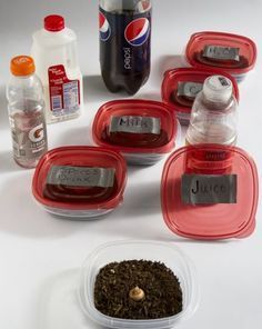 there are six plastic containers with tea and other things in them on the counter top