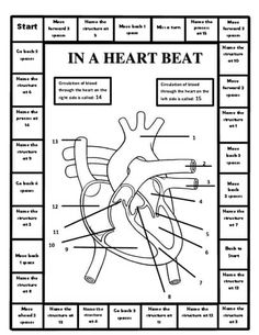 the heart diagram with labels on it for students to learn how to read and draw