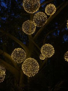 lighted balls hanging from a tree at night