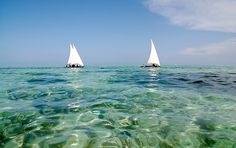 two sailboats in the ocean with clear water