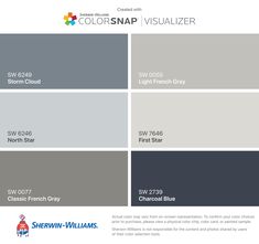 the color scheme for colorsnap visualizer is shown in gray, white and grey