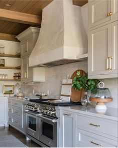 a kitchen with an oven, range and potted plant on the counter top in front of it