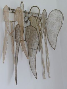 an assortment of wings hanging on a wall