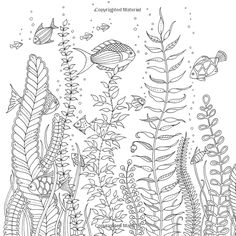 an underwater scene with plants and fish in black and white coloring book page for adults