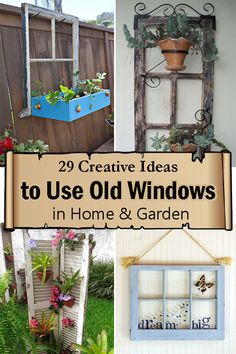 some old windows are hanging on the side of a building with plants and flowers in them