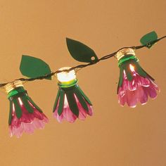 pink and green lights hanging from a wire