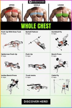 an exercise poster showing how to do the whole bodyweight workout for men and women