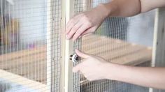 a person is holding the door to a bird in a cage with another hand on it