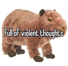 a stuffed animal with the words full of violent thoughts on it's face and feet