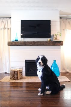 a black and white dog sitting on the floor in front of a fireplace with a flat screen tv above it