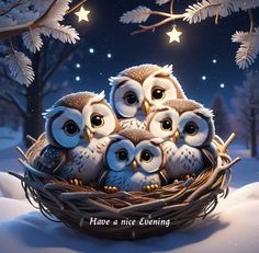 a group of owls sitting on top of a nest in the snow under a star filled sky