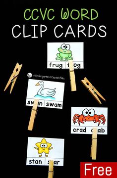 the cvc word clip cards are displayed on clothes pins with pictures of animals and birds