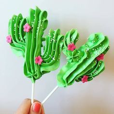 a hand holding two green cactus lollipops with pink flowers