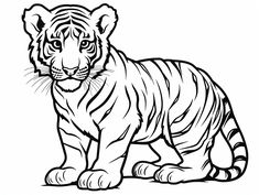 illustration of Realistic tiger cub coloring Pictures Of Tigers To Draw, Tiger Colouring Pages, Tiger Coloring Pages Free Printable, Tiger Outline Drawing, How To Draw A Tiger, Tiger Drawing Sketches, Tiger Art Illustration, Tiger Drawing Easy, Tiger Template