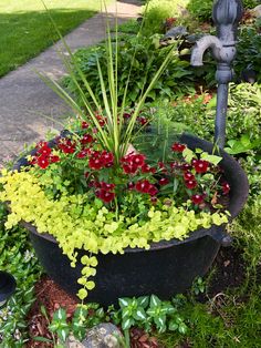 a potted planter filled with red and yellow flowers next to a fire hydrant