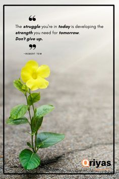 a yellow flower sitting in the middle of a road with a quote above it that reads, the struggle you're in today is developing the strength you need for tomorrow