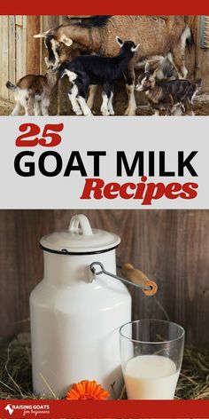 the cover of 25 goat milk recipes