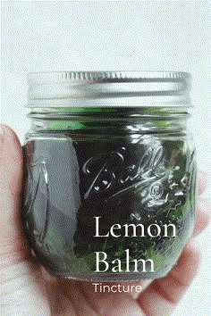 a hand holding a mason jar filled with lemon balm