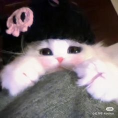 a white cat wearing a black hat with pink flowers on it's head and paws