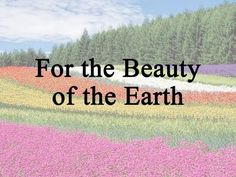 the words for the beauty of the earth are in front of a field of flowers