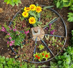 an old wheel is surrounded by flowers in the dirt and plants on the ground around it