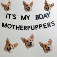 there is a string with pictures of dogs on it that says, it's my bday motherpuppers