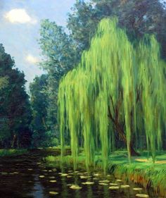 a painting of a willow tree by the water