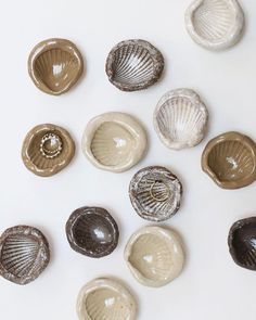 several seashells are arranged on a white surface