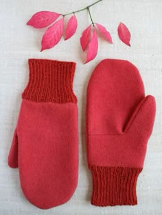 a pair of red mittens sitting on top of a table next to a plant