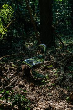 a glass chair sitting in the middle of a forest