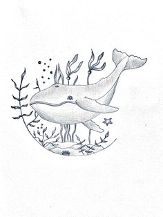 a drawing of a whale swimming in the ocean with seaweed and corals around it