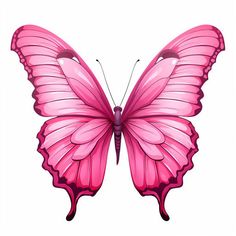 a pink butterfly on a white background