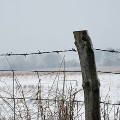 a bird perched on top of a wooden post next to a barbed wire fence with snow in the background