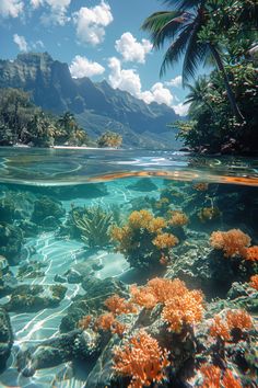 an underwater view of the ocean with corals and palm trees in the foreground