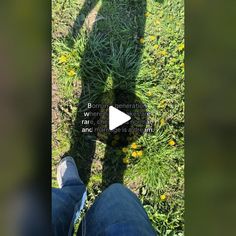 someone standing in the grass with their shadow