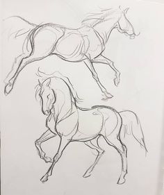 two horses are running in the same direction