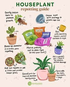 the houseplant guide is shown with plants and other things to grow in them