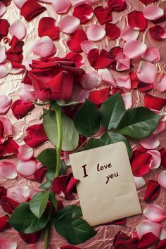 a piece of paper with the words i love you written on it next to a rose