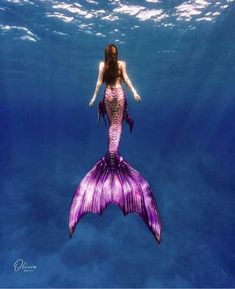 a woman in a purple mermaid tail swims under water