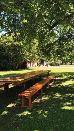 an empty picnic table in the shade of a large tree on a sunny day with green grass