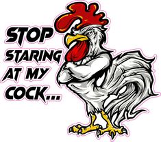 Stop Staring at my cock decal | Nostalgia Decals Die Cut Vinyl Stickers – Nostalgia Decals Online Funny Vinyl Decals, Funny Artwork, Rat Fink, Estilo Real, Funny Jokes For Adults, Stop Staring, Funny Cartoon Quotes, Rise And Shine, Cartoon Quotes