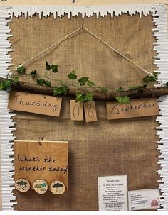 a bulletin board with some plants on it and hanging tags attached to the boards that say, what's the weather today?