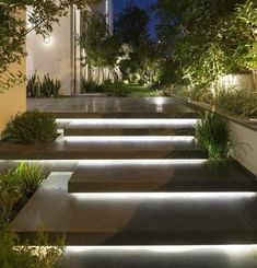 some steps that have lights on them in the middle of a walkway with trees and plants