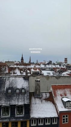 rooftops covered in snow and buildings with the words winter on them are visible from an overcast sky