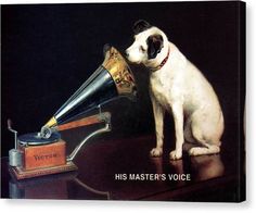 a painting of a dog looking at an antique record player with the words victory written on it