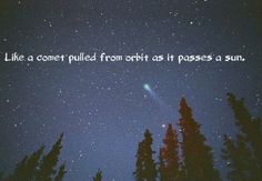 the night sky with stars and trees under it, with a quote written in white