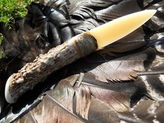 a close up of a bird's feathers with a knife sticking out of it