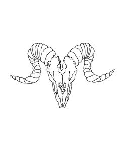 an animal's head with long horns and large curled horns, drawn in black and white