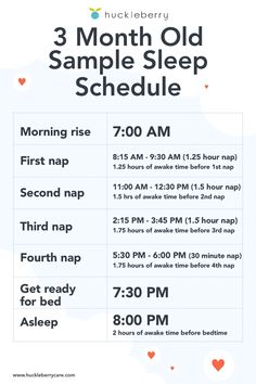 the 3 month old sample sleep schedule is shown in this graphic above it's description